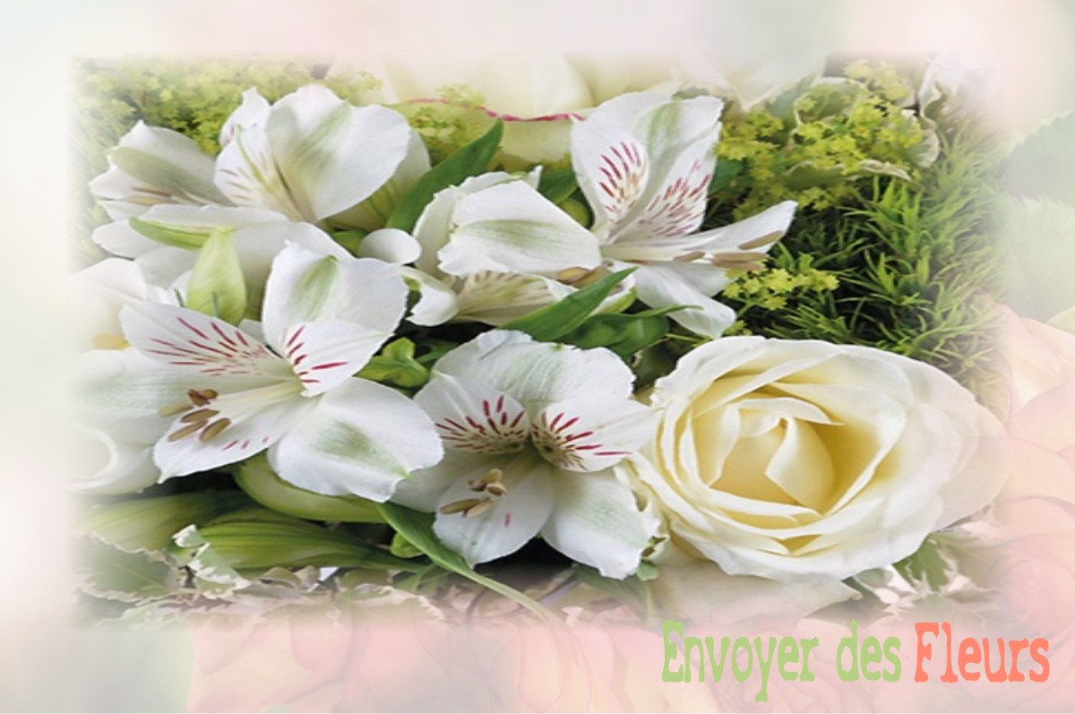 envoyer des fleurs à à VILLIERS-SAINT-BENOIT