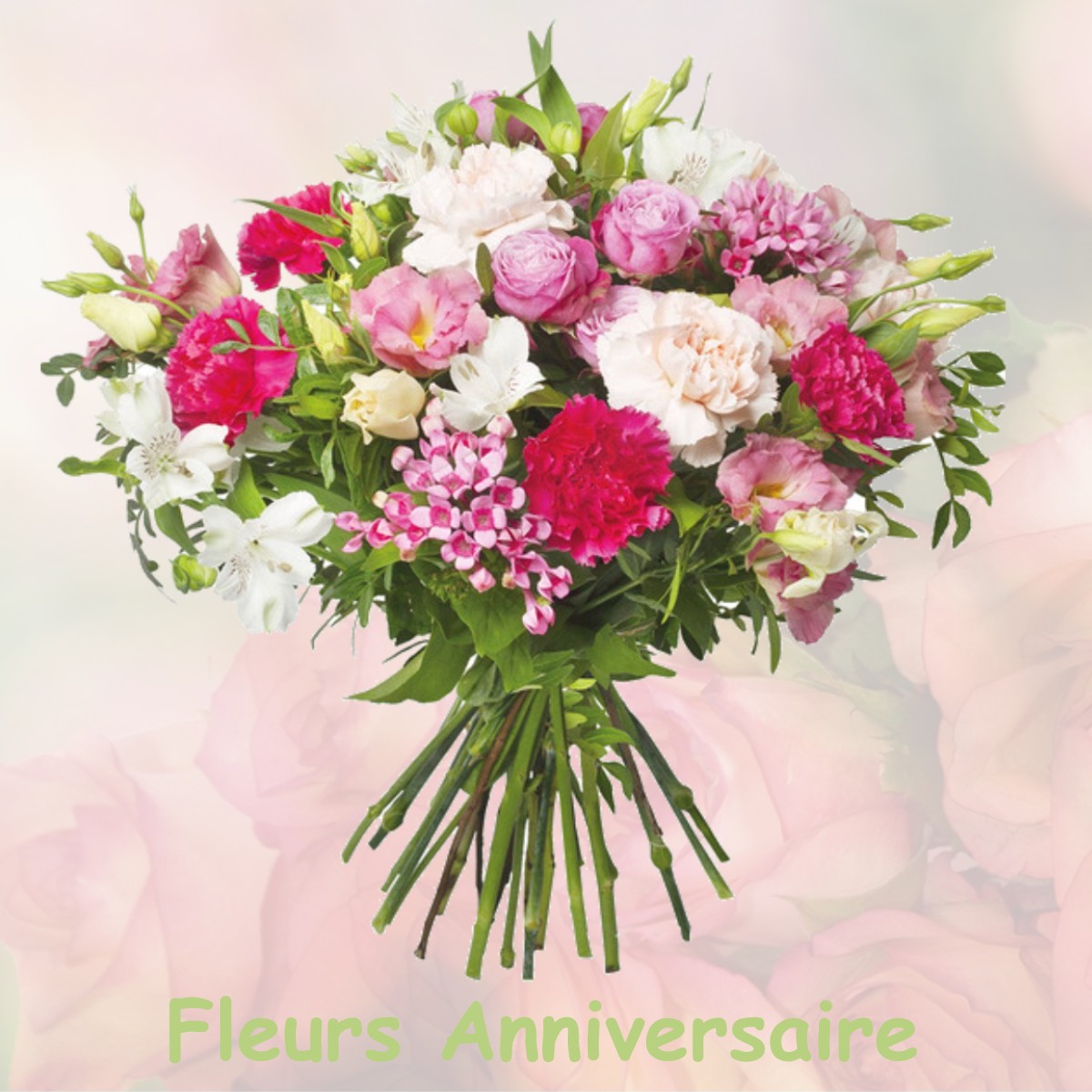 fleurs anniversaire VILLIERS-SAINT-BENOIT